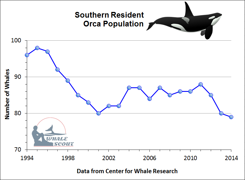 Killer Whale Population Chart